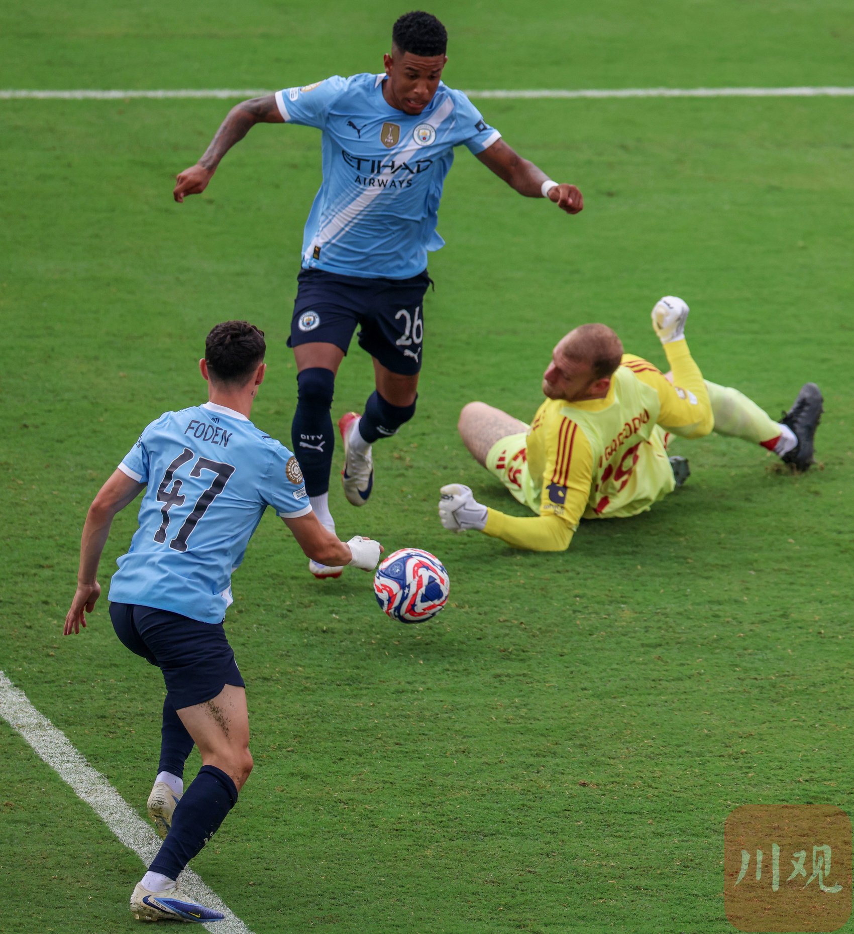 伐清灰熊猫笔趣阁 伐清灰熊猫笔趣阁